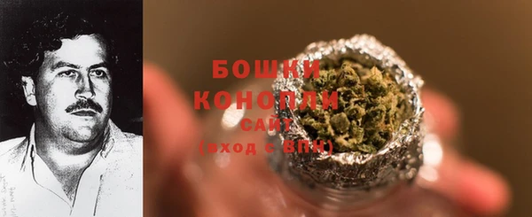 стаф Аркадак