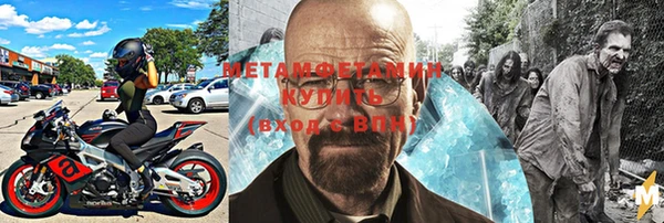 стаф Аркадак