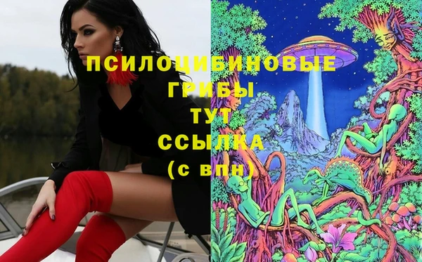 синтетический гашиш Арсеньев