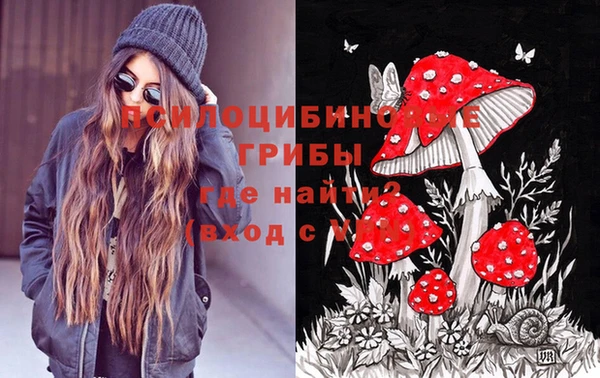 стаф Аркадак