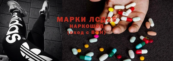 стаф Аркадак