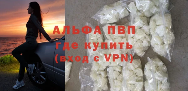 стаф Аркадак