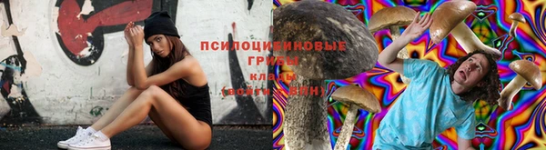 синтетический гашиш Арсеньев