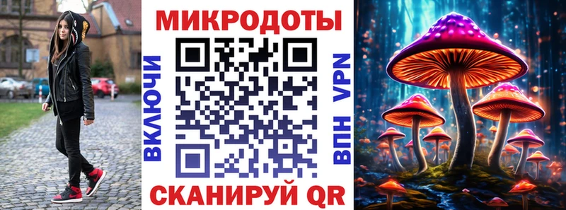 Псилоцибиновые грибы Psilocybine cubensis hydra ссылки Ахтубинск